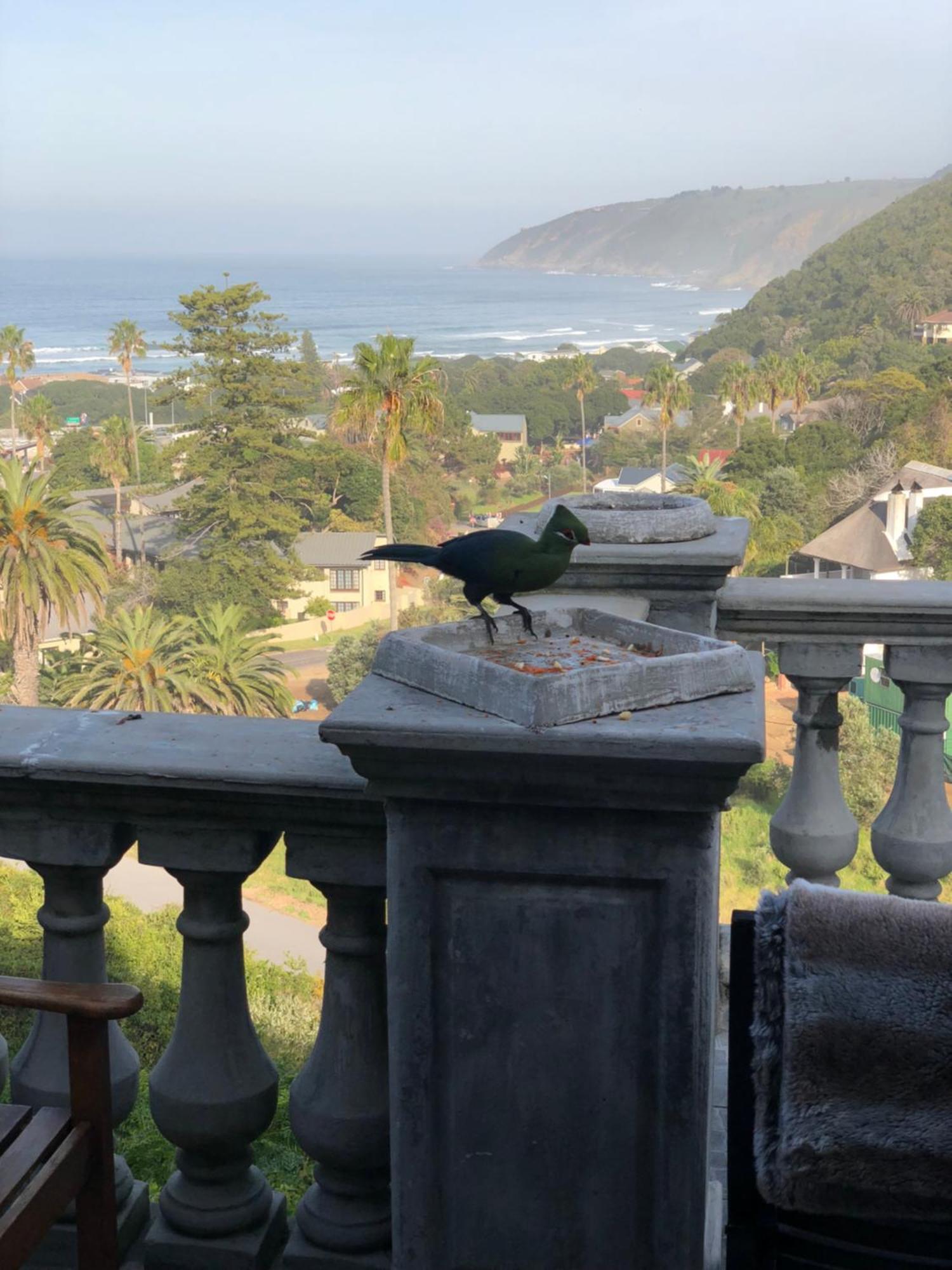 Livingstone Villa Wilderness Luaran gambar