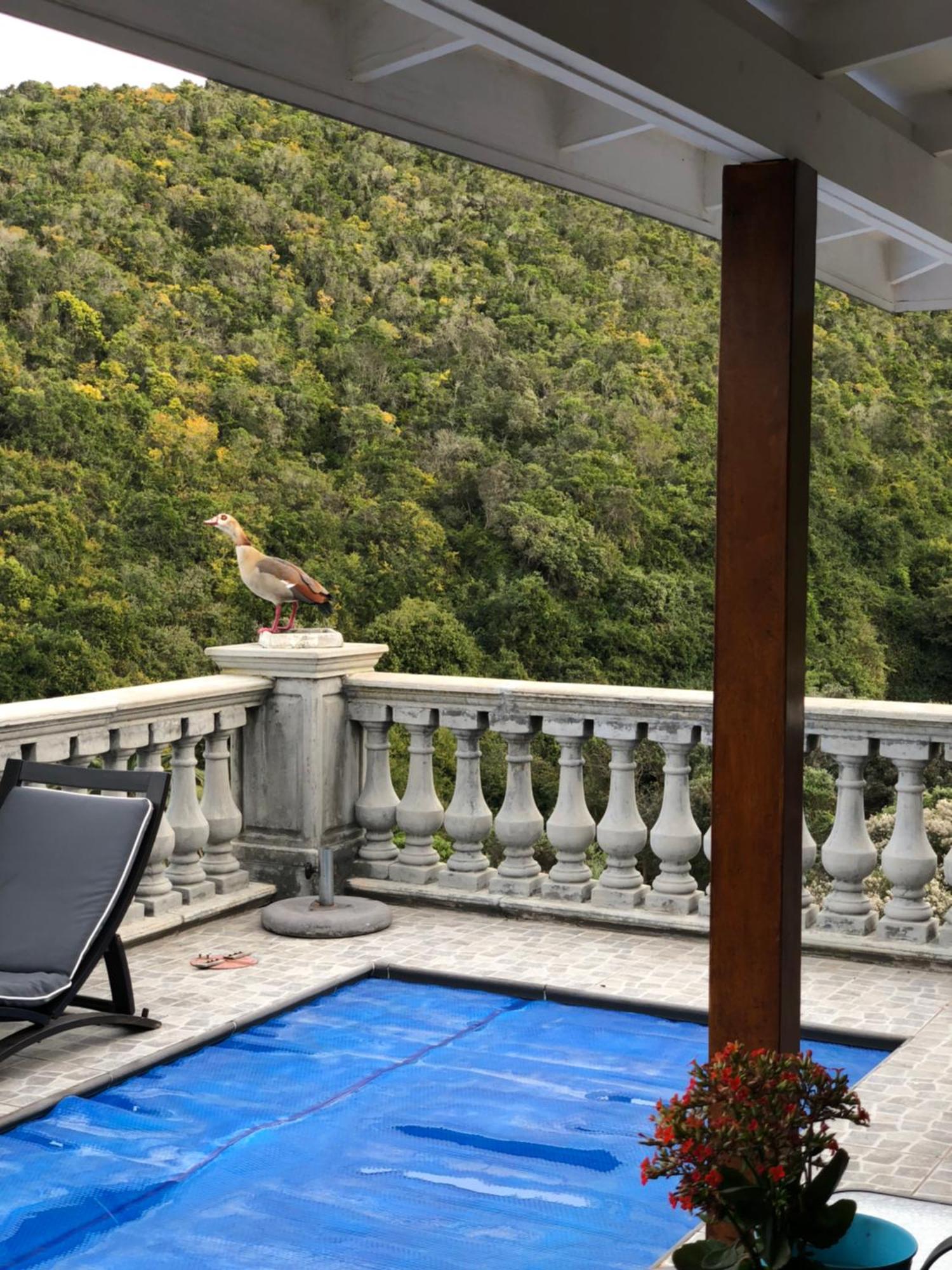 Livingstone Villa Wilderness Luaran gambar